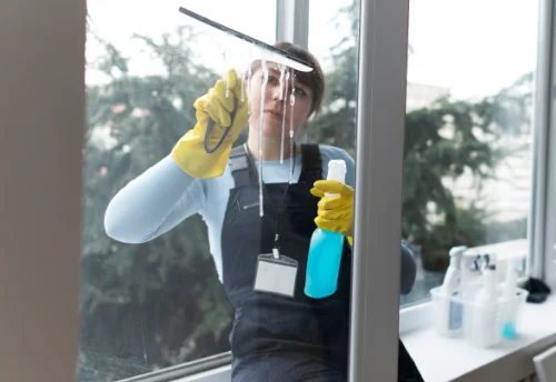 Nettoyage de vitres intérieures et extérieures à Théus